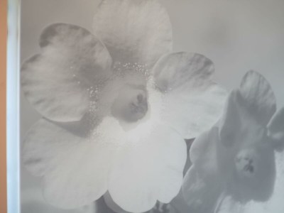 Apartment Apartment Enzian 2-3 Personen - Outdoor photo 23