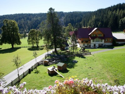 Apartment Apartment Petergstamm 1-2 Personen - Features photo 68