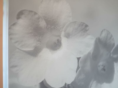 Apartment Apartment Petergstamm 1-2 Personen - Features photo 74