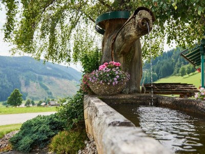 Apartment Appartement Natur 2, 75 m²/2 Schlafzimmer - Outdoor photo 7