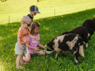 Apartment Appartement Natur 4, 75 m²/2 Schlafzimmer - Outdoor photo 88