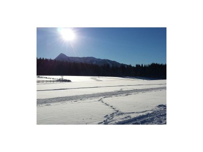 Apartment Apartment/2 Schlafräume/Dusche, WC, TypC - Outdoor photo 23