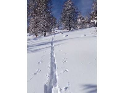 Apartment Apartment/2 Schlafräume/Dusche, WC, TypC - Outdoor photo 25