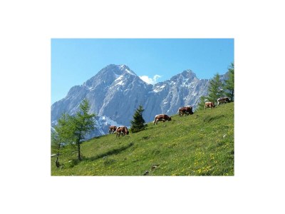 Apartment Apartment/2 Schlafräume/Dusche, WC, TypC - Outdoor photo 29