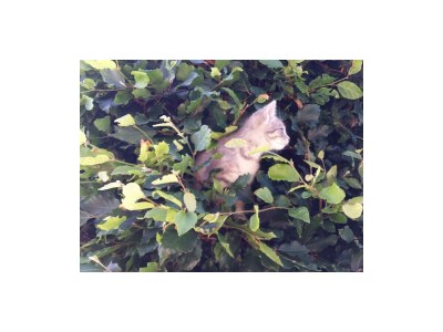 Apartment Apartment/2 Schlafräume/Dusche, WC, TypC - Outdoor photo 31