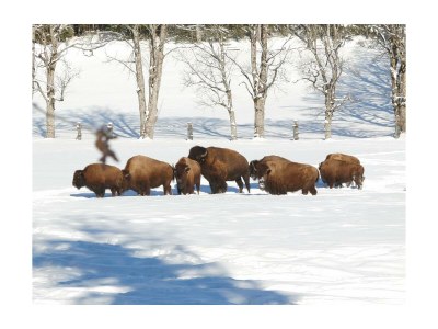 Apartment Appartement Ferienwohnungen - Outdoor photo 28