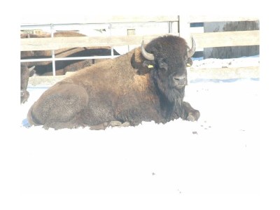 Apartment Appartement Ferienwohnungen - Outdoor photo 30