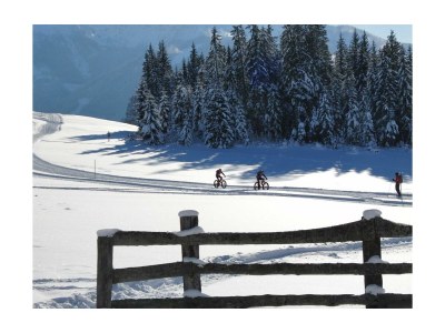 Apartment Appartement Ferienwohnungen - Outdoor photo 35