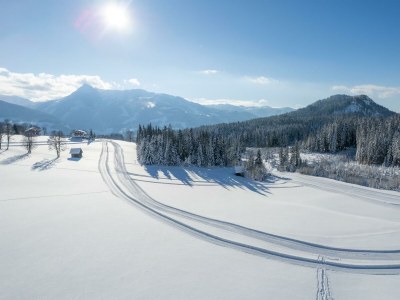 Apartment Appartement Ferienwohnungen - Features photo 44