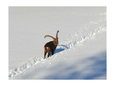 Apartment Apartment Planai /2 Schlafräume/Dusche, WC - Outdoor photo 13
