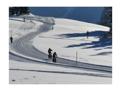 Apartment Apartment Planai /2 Schlafräume/Dusche, WC - Outdoor photo 14