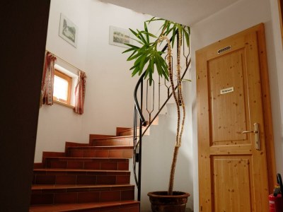 Apartment Apartment/1 Schlafraum/Dusche, Bad, WC - Outdoor photo 23