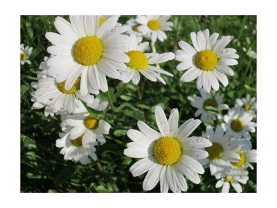 Apartment Apartment/2 Schlafräume/Dusche, WC - Outdoor photo 6