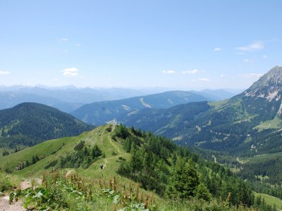 Apartment Ferienwohnung Edelweiß - Outdoor photo 29