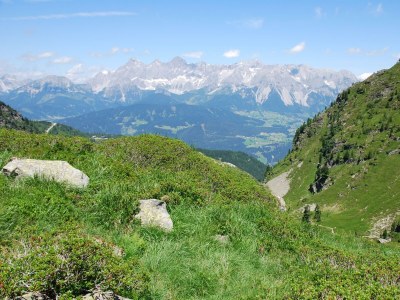 Apartment Ferienwohnung Edelweiß - Outdoor photo 36