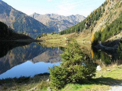 Apartment Ferienwohnung Edelweiß - Outdoor photo 40