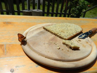 Apartment Ferienwohnung Edelweiß - Outdoor photo 45