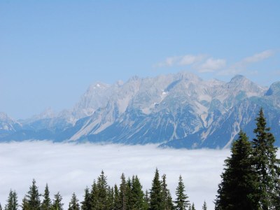 Apartment Ferienwohnung Edelweiß - Outdoor photo 49