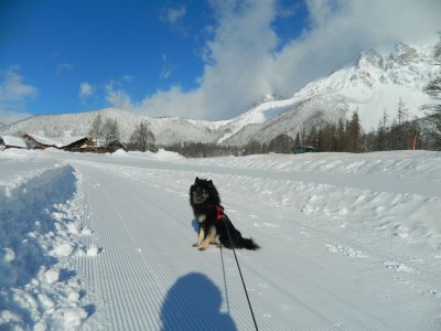 Apartment Ferienwohnung Edelweiß - Outdoor photo 54
