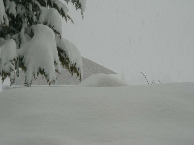 Apartment Ferienwohnung Edelweiß - Outdoor photo 55