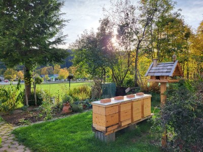 Apartment Ferienwohnung Edelweiß - Outdoor photo 61