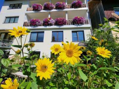 Apartment Ferienwohnung Edelweiß - Outdoor photo 64