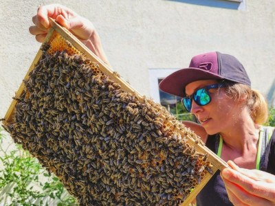 Apartment Ferienwohnung Edelweiß - Outdoor photo 65