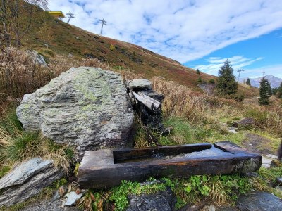 Apartment Ferienwohnung Edelweiß - Outdoor photo 71