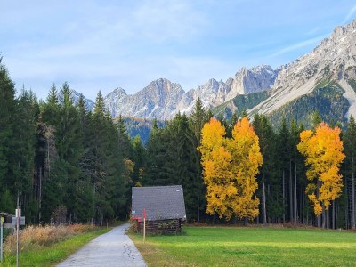 Apartment Ferienwohnung Edelweiß - Outdoor photo 72