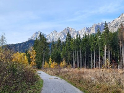 Apartment Ferienwohnung Edelweiß - Outdoor photo 78