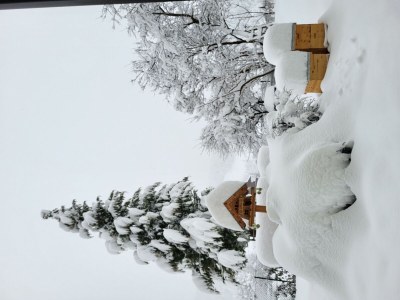 Apartment Ferienwohnung Edelweiß - Outdoor photo 79