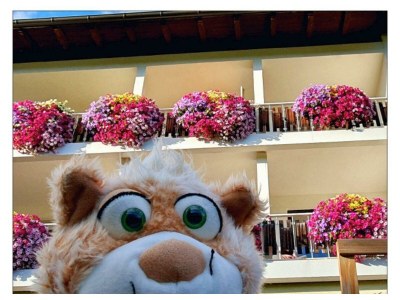 Apartment Ferienwohnung Edelweiß - Outdoor photo 85