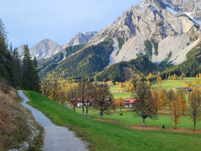 Apartment Ferienwohnung Edelweiß - Outdoor photo 86