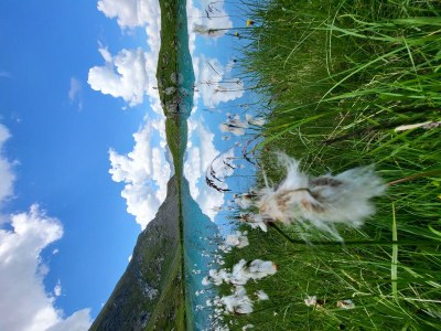 Apartment Ferienwohnung Edelweiß - Outdoor photo 87