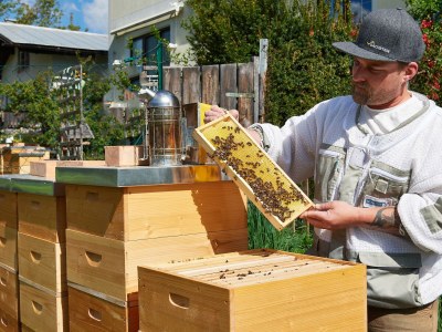 Apartment Ferienwohnung Edelweiß - Outdoor photo 97