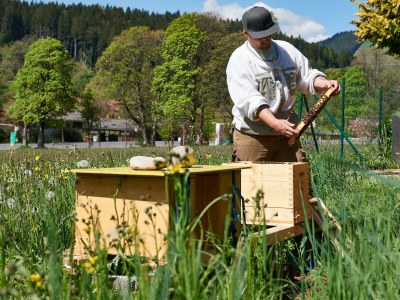 Apartment Ferienwohnung Edelweiß - Outdoor photo 98
