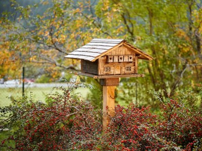 Apartment Ferienwohnung Alpenrose - Outdoor photo 19