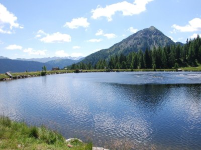 Apartment Ferienwohnung Alpenrose - Outdoor photo 25