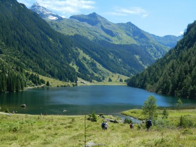 Apartment Ferienwohnung Alpenrose - Outdoor photo 50