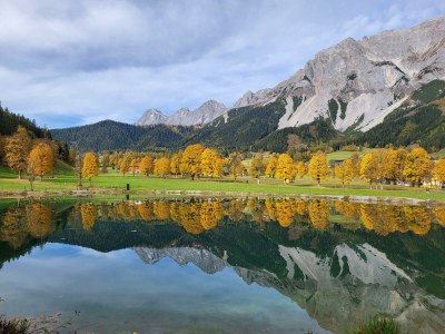 Apartment Ferienwohnung Alpenrose - Outdoor photo 70