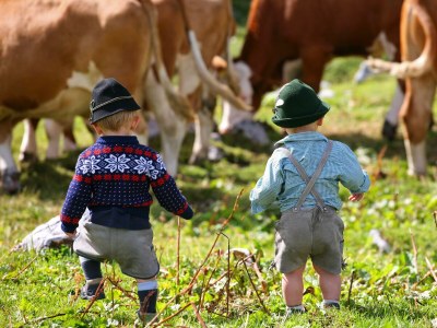 Apartment Appartement/Fewo, Dusche, WC, 1 Schlafraum 45m² - Outdoor photo 94