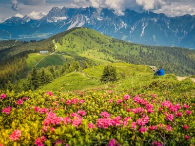 Apartment Appartement/Fewo, Dusche, WC, 1 Schlafraum 45m² - Outdoor photo 95