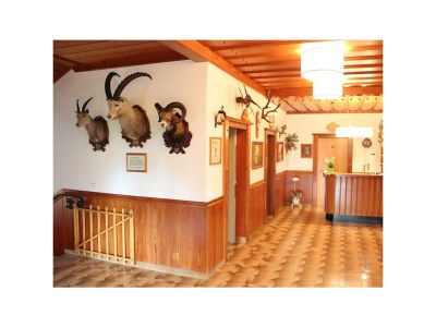 Holiday room Familienzimmer 2 Schlafräume, Südbalkon, DU/WC - Outdoor photo 48