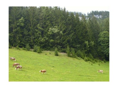 Holiday room Doppelzimmer mit Dusche, WC - Outdoor photo 20