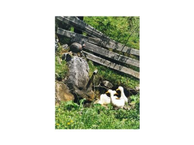 Holiday room Doppelzimmer mit Dusche, WC - Outdoor photo 21