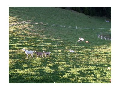 Holiday room Doppelzimmer mit Dusche, WC - Outdoor photo 22