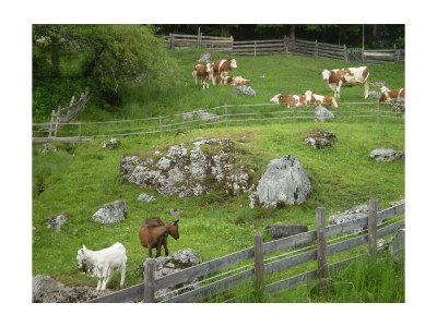 Holiday room Doppelzimmer mit Dusche, WC - Outdoor photo 23