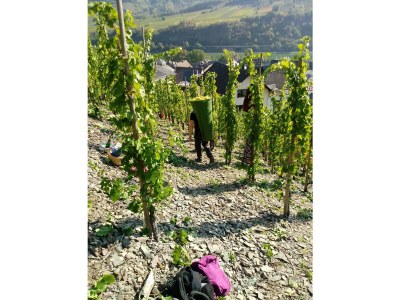 Holiday house Michaela - Environment photo 27