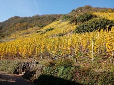 Holiday house Michaela - Environment photo 29