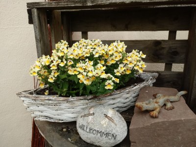 Holiday house Michaela - Environment photo 32